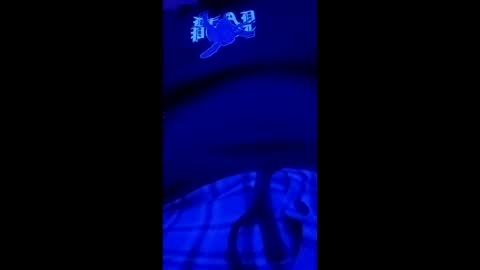 spitfire232323 online show from March 15, 3:03 am