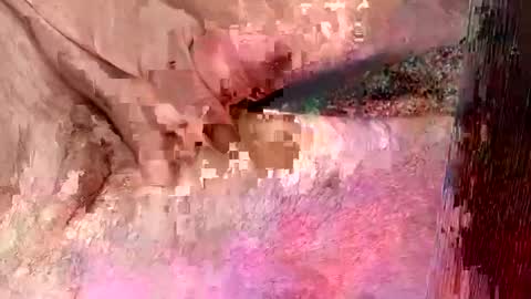 sprayx online show from December 8, 11:35 am