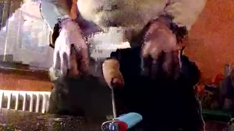 CIPPALIPPA online show from December 23, 7:41 pm