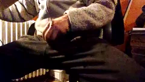 CIPPALIPPA online show from December 22, 6:15 pm