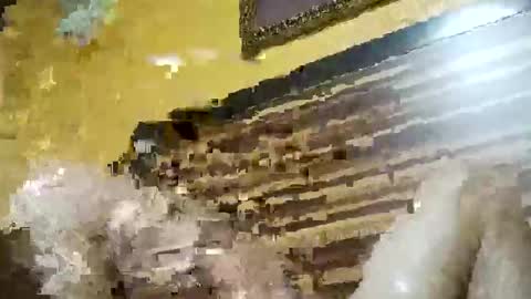 stchelly627 online show from March 8, 6:28 am