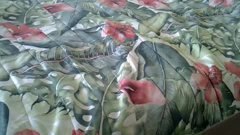 Rocco-load online show from December 4, 1:42 pm