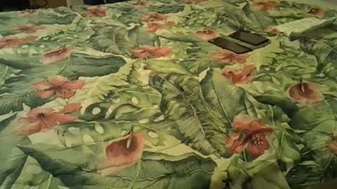 Rocco-load online show from December 18, 4:06 pm