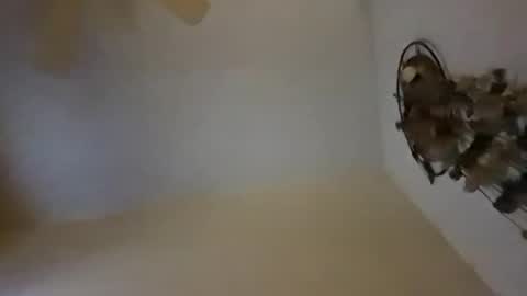 sterng123 online show from December 10, 9:01 am