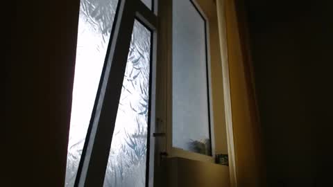 Steven online show from February 17, 9:08 am