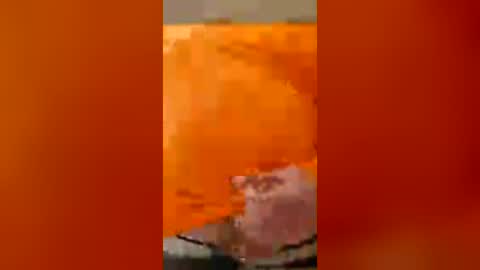 Stevie online show from July 13, 3:08 am