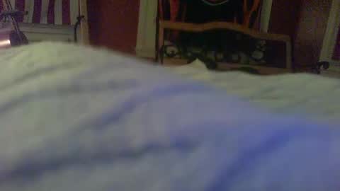 stratocatster online show from January 24, 2:39 am