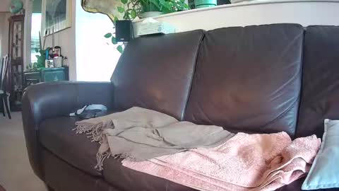 Otto online show from September 30, 4:21 pm