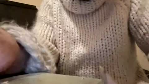 sweaterboy666 online show from June 30, 9:05 pm