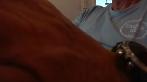 Snapshot of swiss_german_01 chatting on October 28, 12:18 pm swiss_german_01 online show from October 28, 12:18 pm