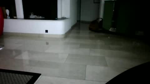 Swiss Couple online show from December 3, 12:49 am