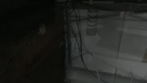 sxulx2c online show from December 14, 6:24 am