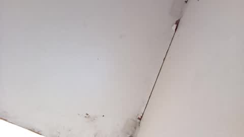 tall6feet7inch online show from March 16, 8:40 am