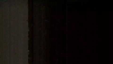 tapatio_00 online show from February 5, 9:05 am