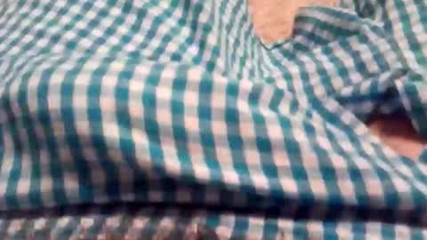 tastemez online show from December 1, 9:12 am