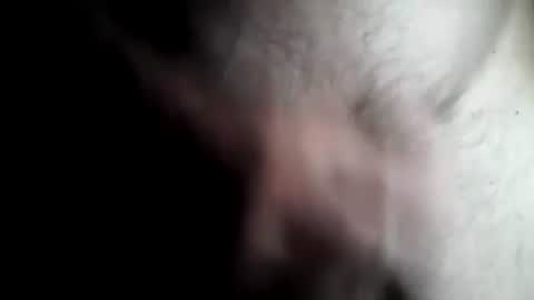 taylor3made online show from February 4, 11:16 pm