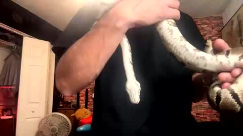 Trevorling online show from November 5, 1:46 pm