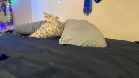 tazhardaway3435 online show from December 8, 11:24 am