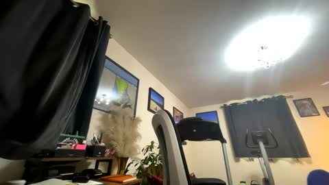 tdh2018 online show from December 4, 2:04 pm