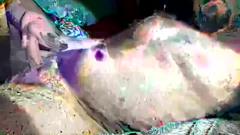 th3darksideofthemoon online show from February 26, 2:15 am