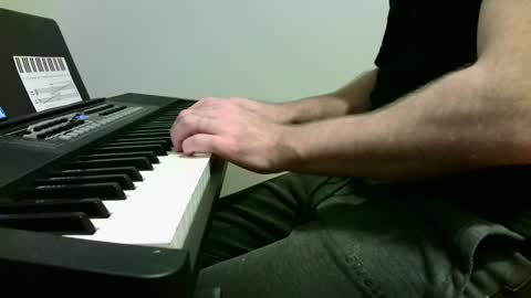 Snapshot of the_naked_pianists chatting on January 2, 10:33 pm Stephan 34 Cassandra 25 online show from January 2, 10:33 pm