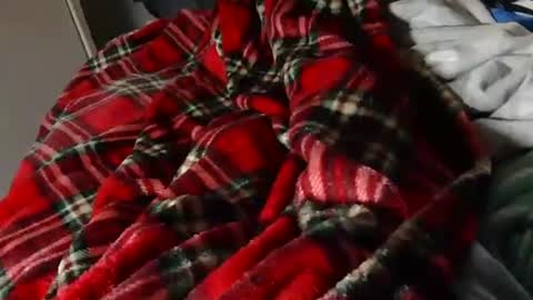 Liam online show from March 23, 8:37 pm