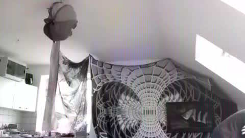 tigertrance online show from March 15, 12:45 pm