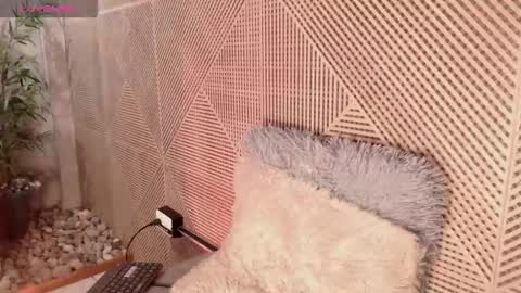 Tim Fox online show from December 5, 12:23 pm