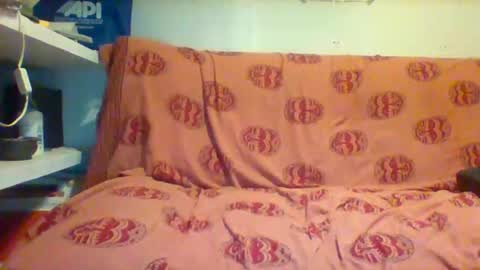 timidoarmado78 online show from January 4, 2:25 am