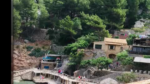 Timplaw online show from September 27, 10:24 am