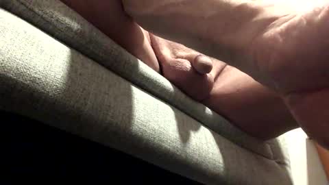 Tiny Jack online show from November 7, 10:29 am