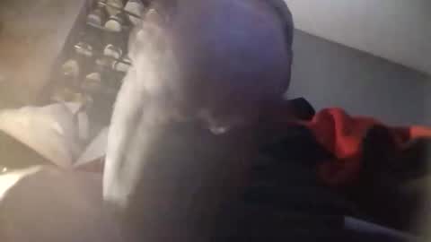 tizzzdigggkkk online show from March 6, 2:36 pm