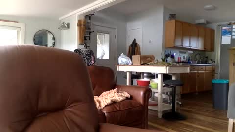 tommyknocker1 online show from October 16, 4:26 pm