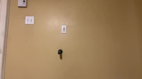 Sexy boys online show from February 15, 1:11 am