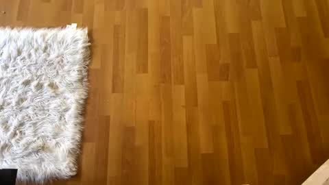 Sexy boys online show from December 21, 4:57 pm