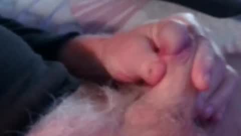 Jim online show from October 22, 9:40 pm