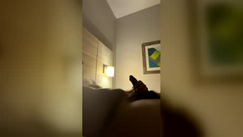 turbo706 online show from February 5, 5:14 am