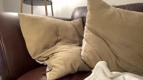 ty223222 online show from October 23, 4:32 pm