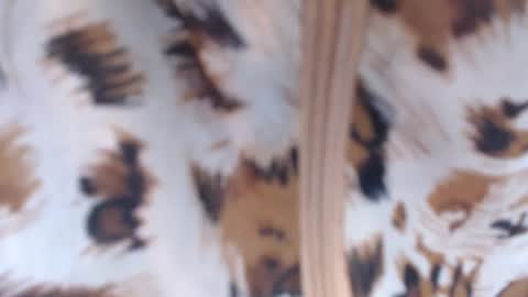 Mel online show from January 11, 2:36 pm