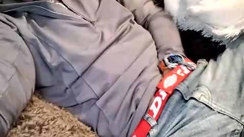 Vanyllaice online show from January 6, 4:04 am