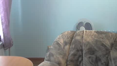 vazik2345 online show from February 19, 12:22 pm