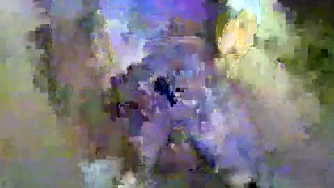 vergon2019782631 online show from January 2, 2:43 am