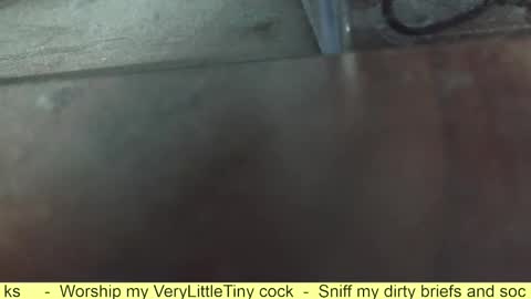 Snapshot of verylittletiny chatting on October 7, 9:46 am Erik online show from October 7, 9:46 am