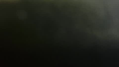 vinofuck online show from October 10, 3:50 pm