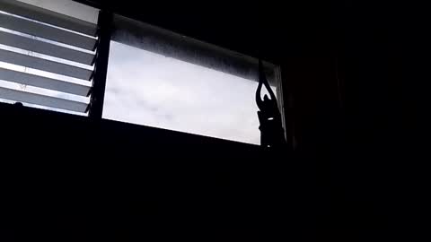 VIPFLEX1 online show from February 14, 9:21 pm