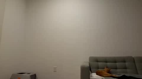 Pachinko De Gallo online show from March 6, 8:33 am