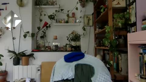 Viv online show from December 3, 9:20 am