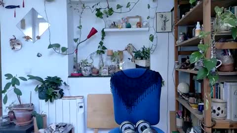 Viv online show from February 5, 9:25 am