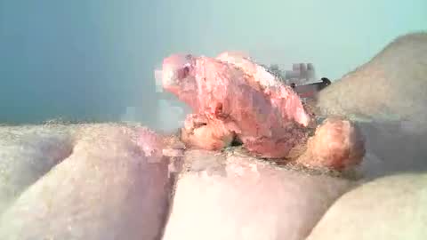 Snapshot of vukavuka99 chatting on December 28, 8:36 pm vukavuka99 online show from December 28, 8:36 pm