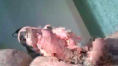 vukavuka99 online show from April 20, 2:03 am